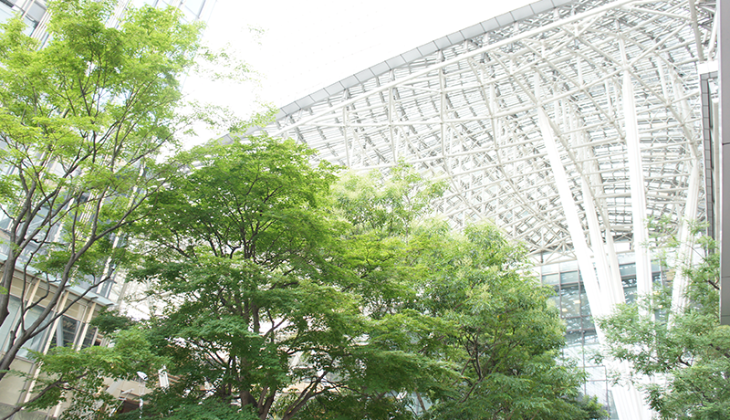 缅甸腾龙集团 ポケモンGOとマクドナルドがコラボイベント　期間中は